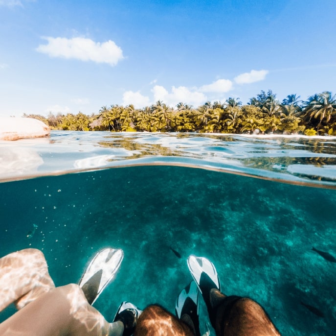 Diving in the Maldives, Indian Ocean