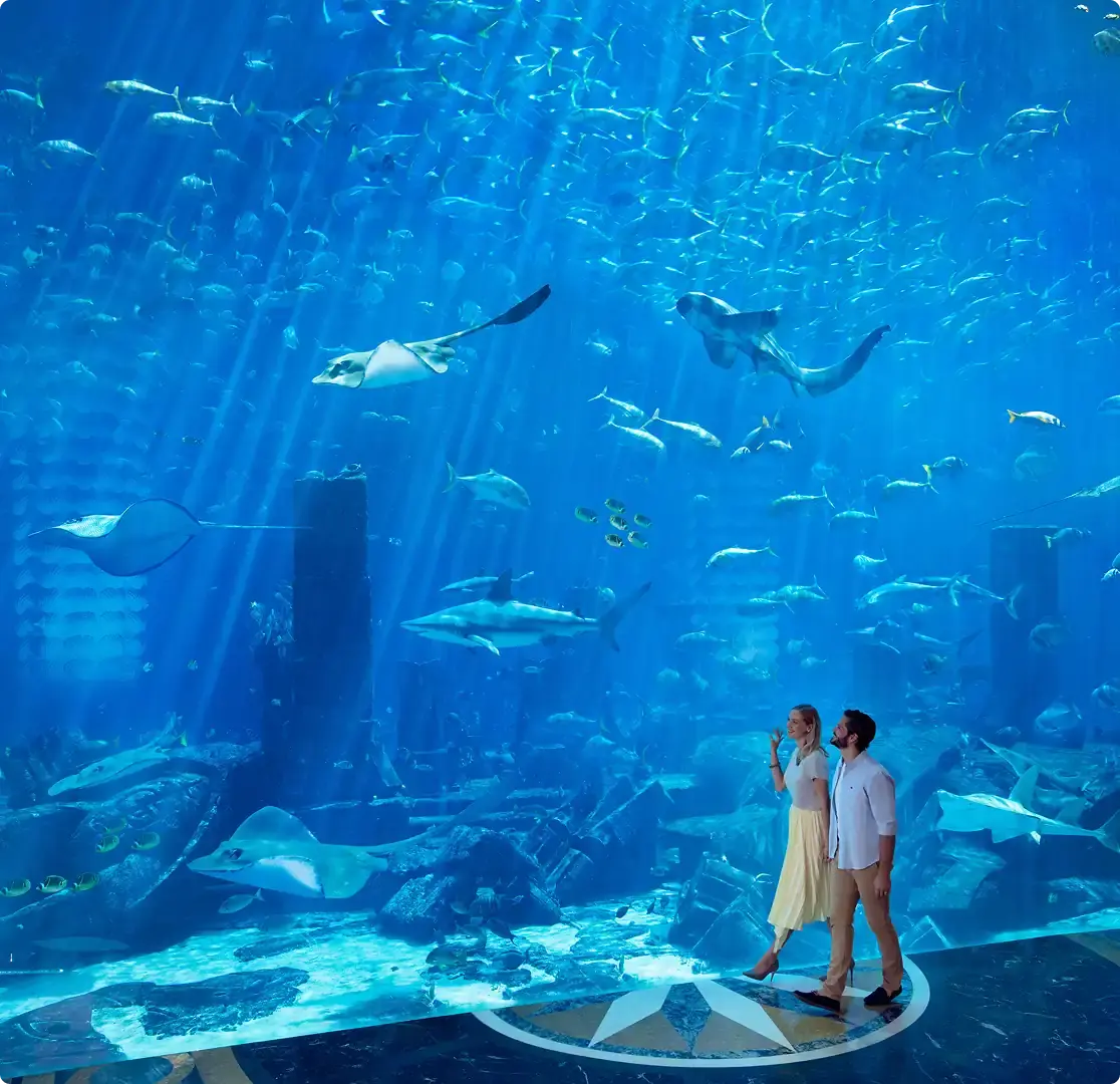Dubai Aquarium